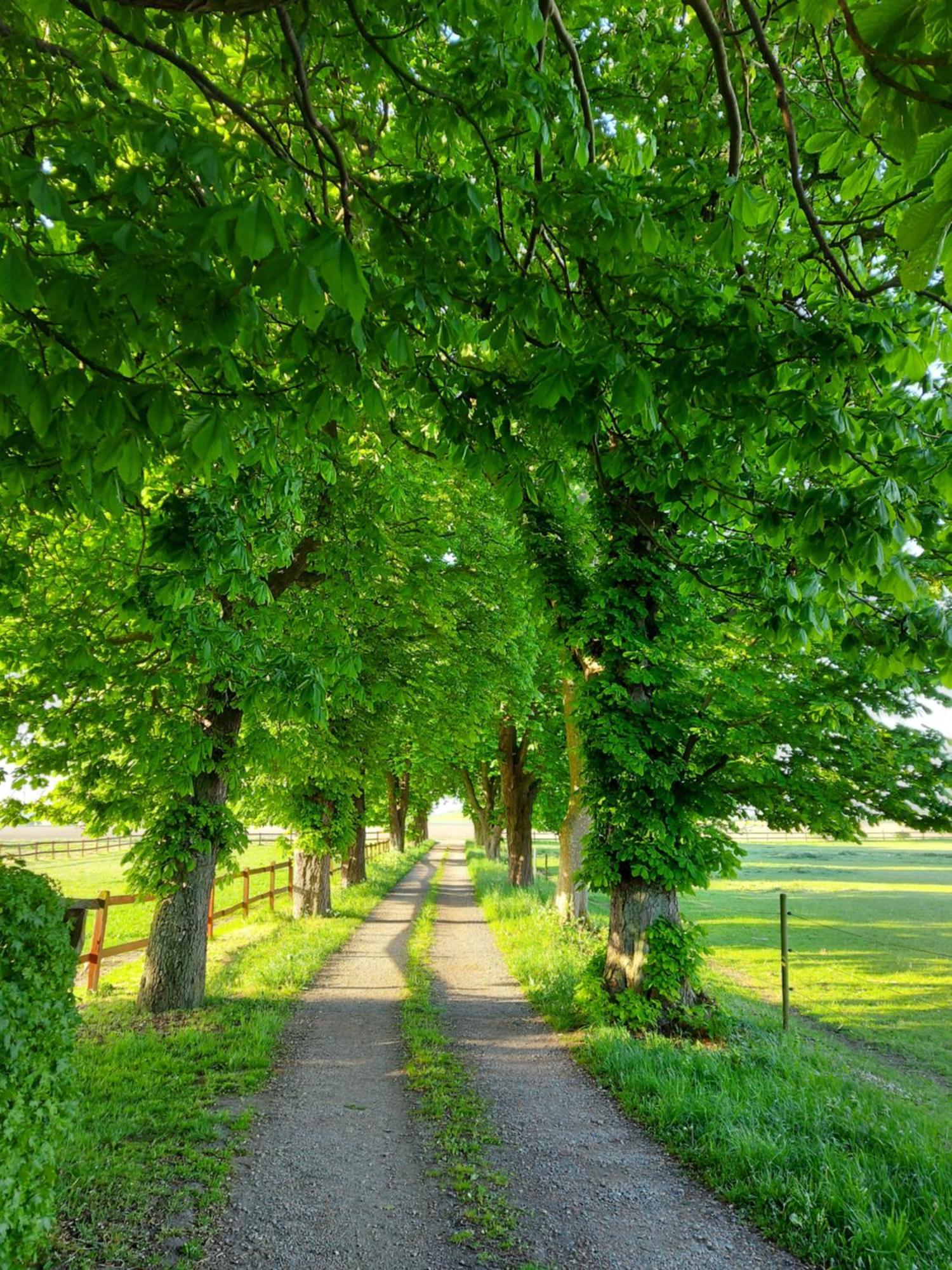 Lantligt Och Lugnt Boende Naera Natur Och Stad 스베달라 시 외부 사진