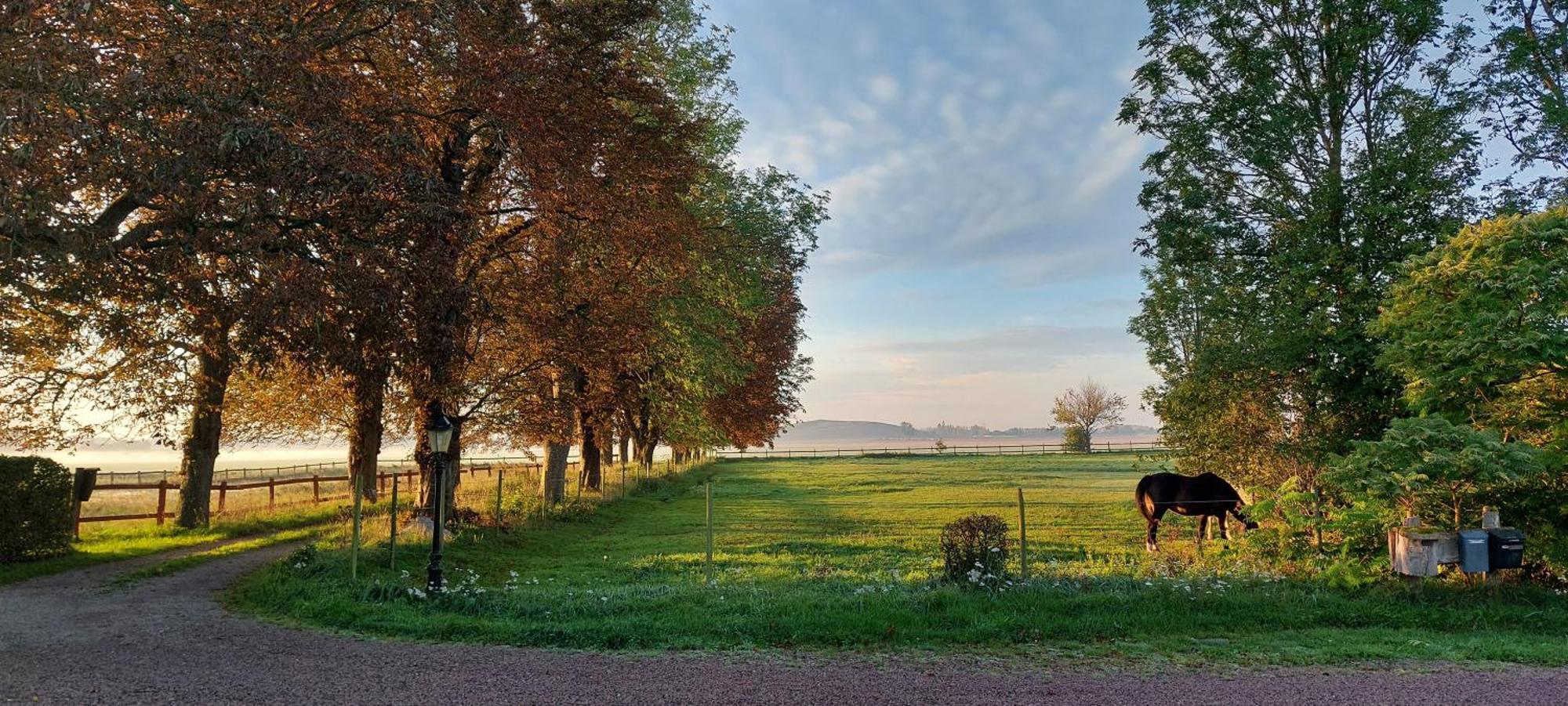 Lantligt Och Lugnt Boende Naera Natur Och Stad 스베달라 시 외부 사진