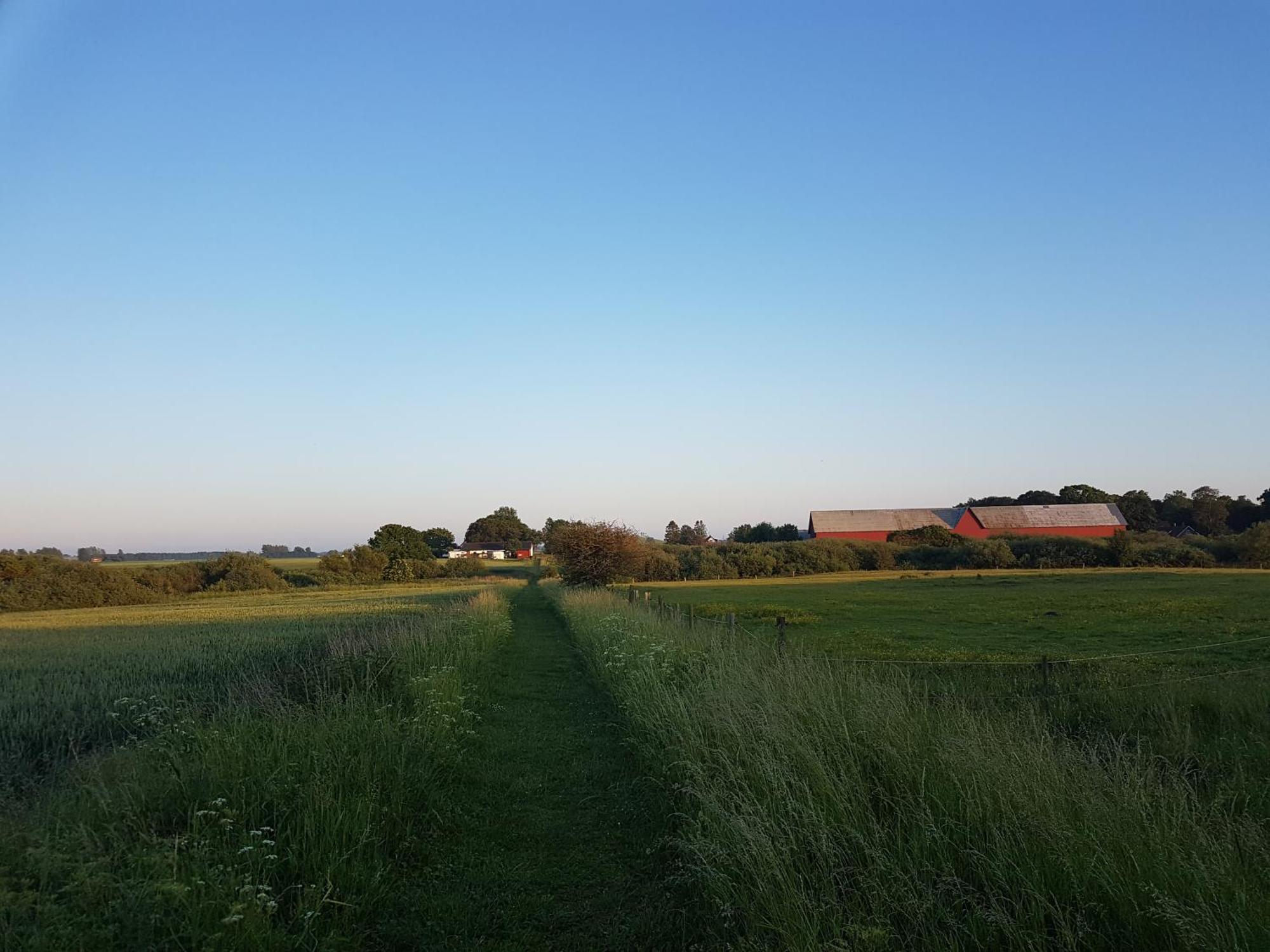 Lantligt Och Lugnt Boende Naera Natur Och Stad 스베달라 시 외부 사진