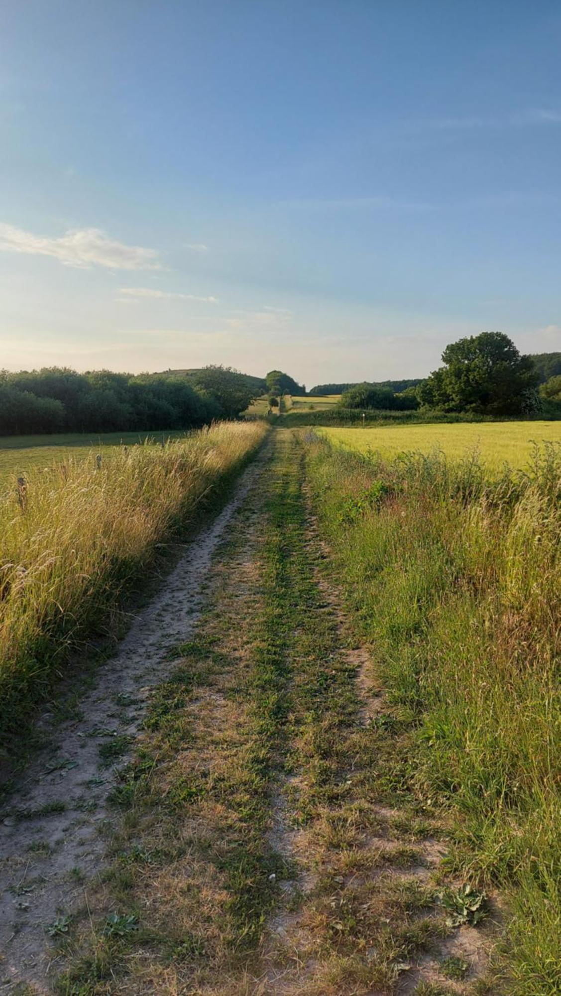 Lantligt Och Lugnt Boende Naera Natur Och Stad 스베달라 시 외부 사진