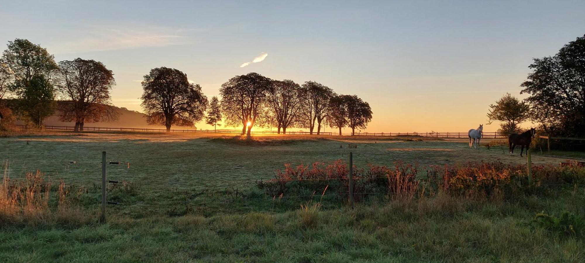 Lantligt Och Lugnt Boende Naera Natur Och Stad 스베달라 시 외부 사진