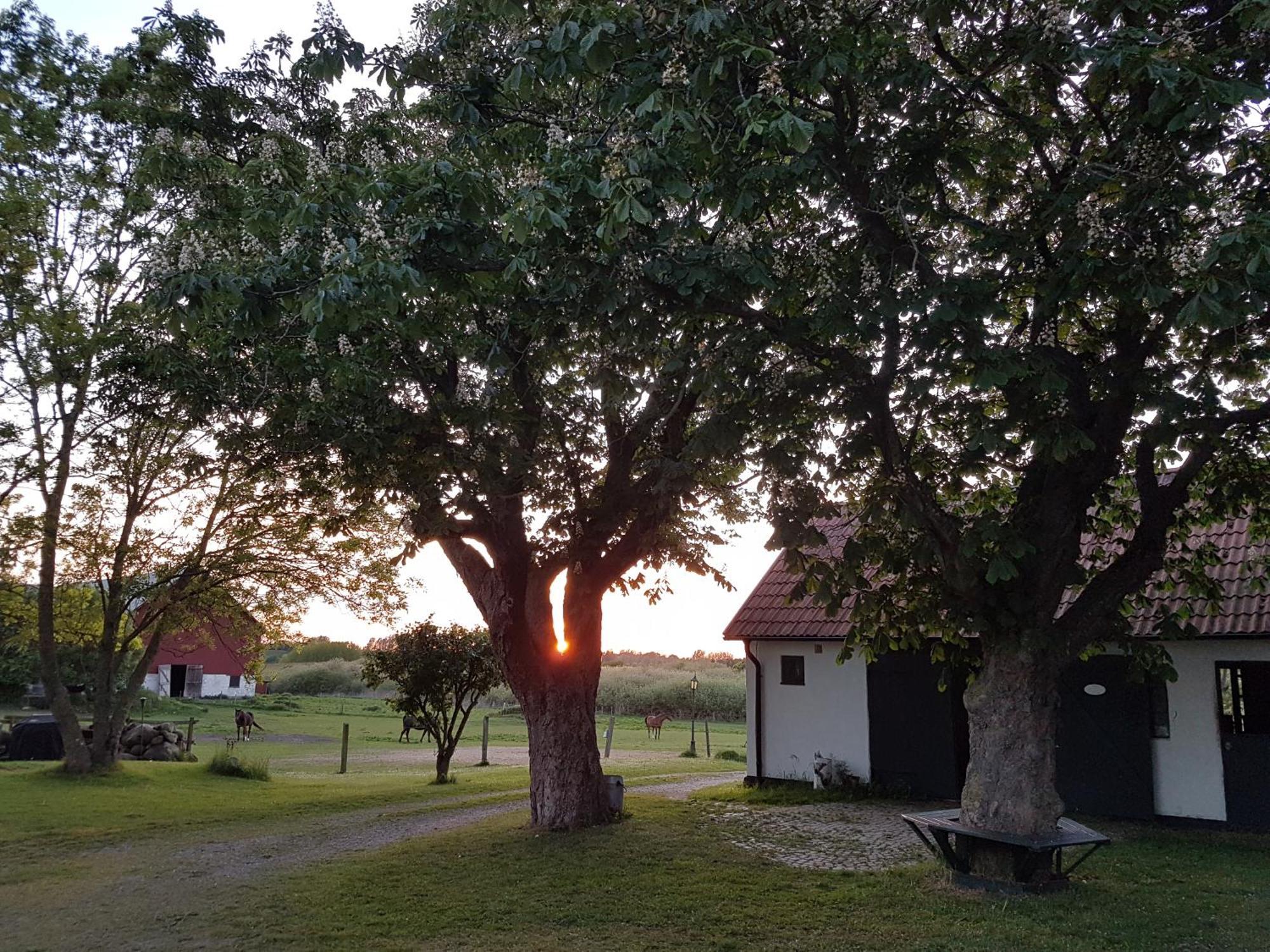 Lantligt Och Lugnt Boende Naera Natur Och Stad 스베달라 시 외부 사진