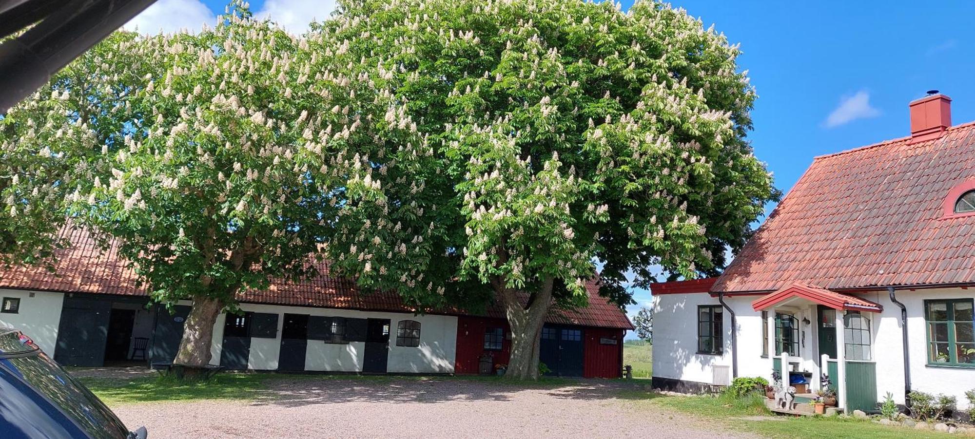 Lantligt Och Lugnt Boende Naera Natur Och Stad 스베달라 시 외부 사진