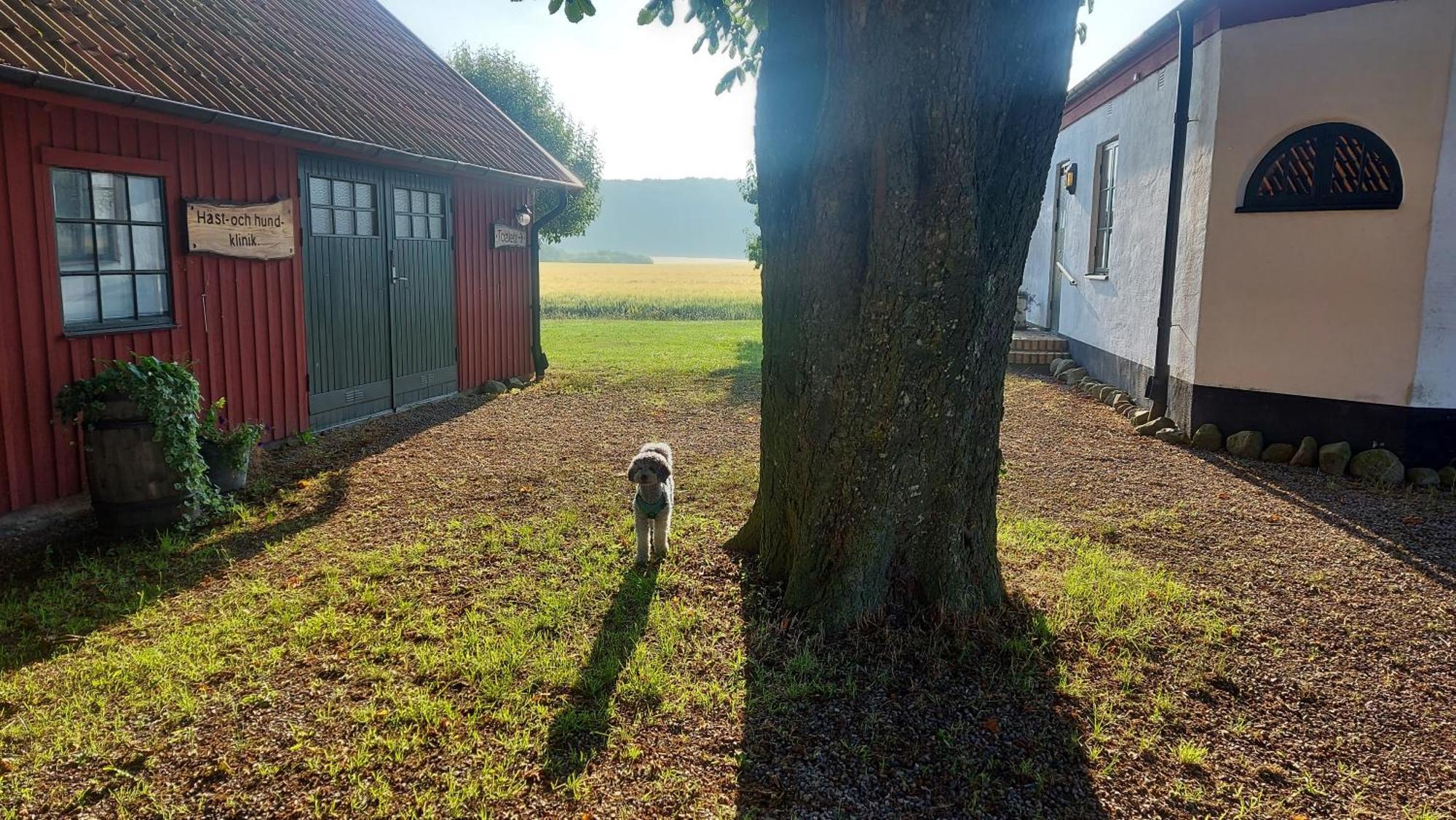 Lantligt Och Lugnt Boende Naera Natur Och Stad 스베달라 시 외부 사진