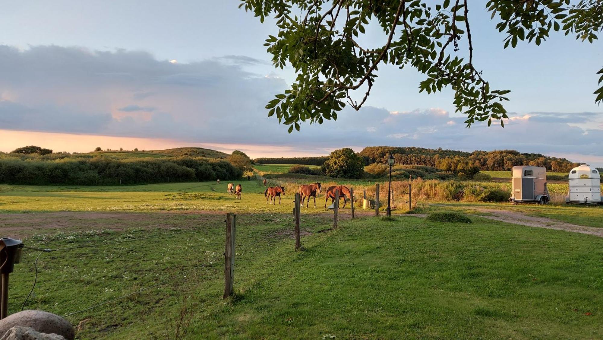 Lantligt Och Lugnt Boende Naera Natur Och Stad 스베달라 시 외부 사진