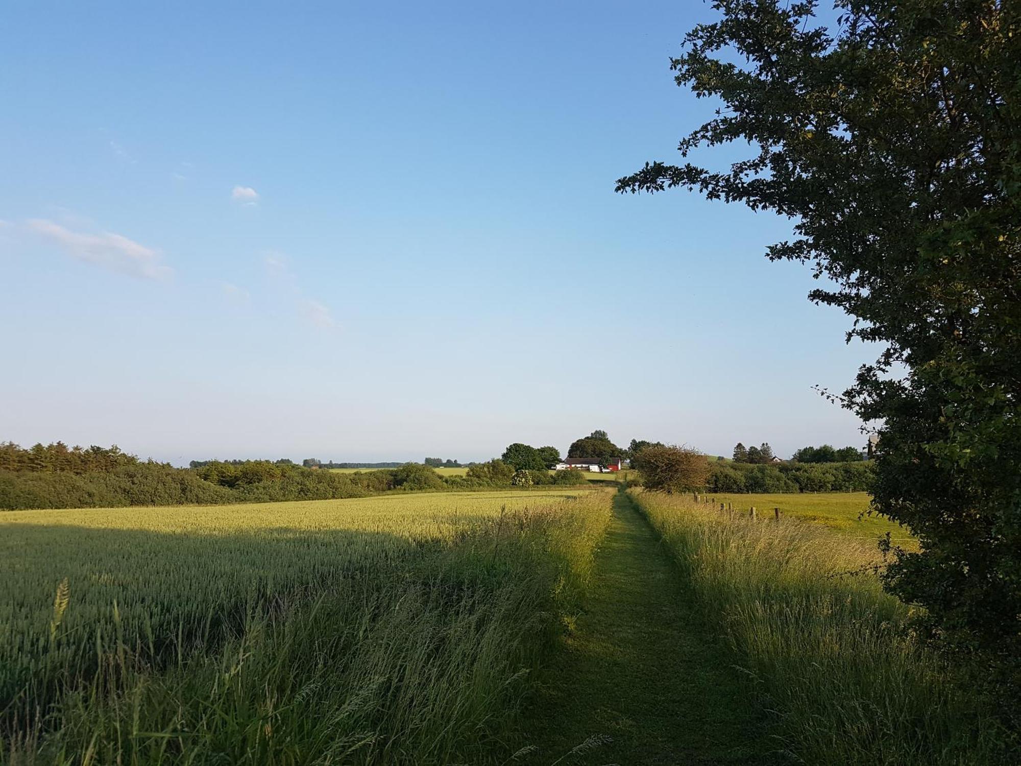 Lantligt Och Lugnt Boende Naera Natur Och Stad 스베달라 시 외부 사진