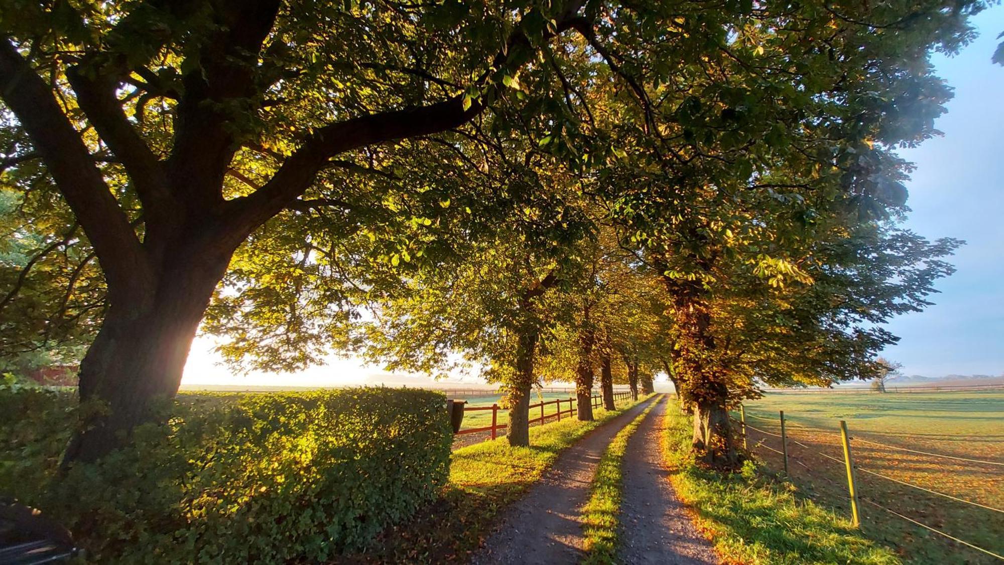 Lantligt Och Lugnt Boende Naera Natur Och Stad 스베달라 시 외부 사진